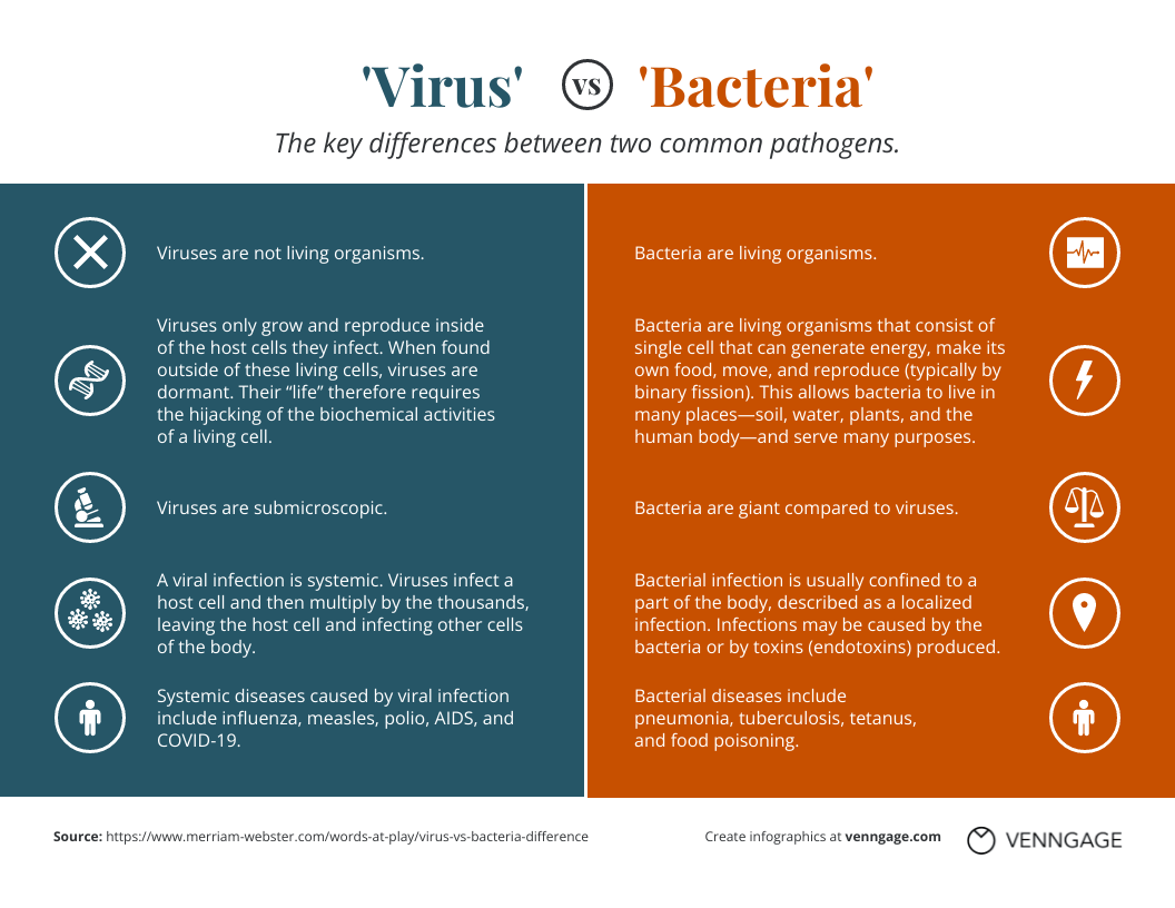 Virus vs. Bacteria Comparison Infographic Design